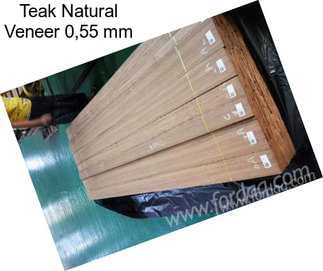 Teak Natural Veneer 0,55 mm