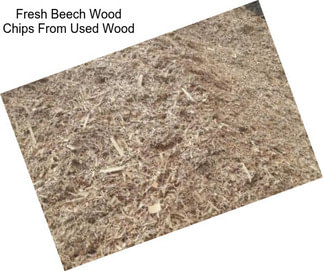 Fresh Beech Wood Chips From Used Wood