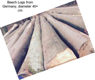 Beech Logs from Germany, diameter 40+ cm