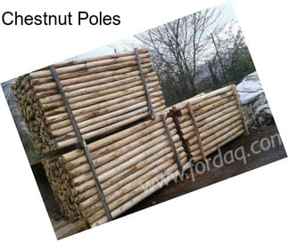 Chestnut Poles