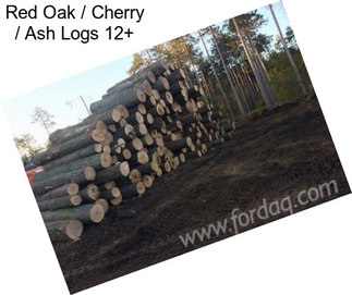 Red Oak / Cherry / Ash Logs 12\