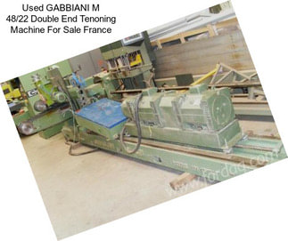 Used GABBIANI M 48/22 Double End Tenoning Machine For Sale France