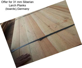 Offer for 31 mm Siberian Larch Planks (boards),Germany