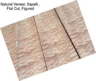 Natural Veneer, Sapelli , Flat Cut, Figured