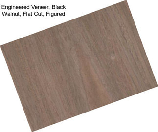 Engineered Veneer, Black Walnut, Flat Cut, Figured