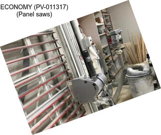 ECONOMY (PV-011317) (Panel saws)