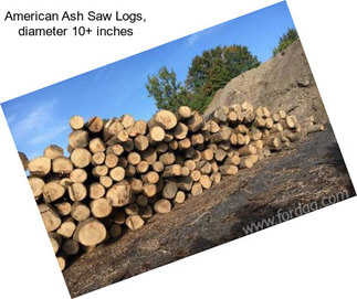 American Ash Saw Logs, diameter 10+ inches