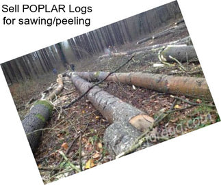 Sell POPLAR Logs for sawing/peeling