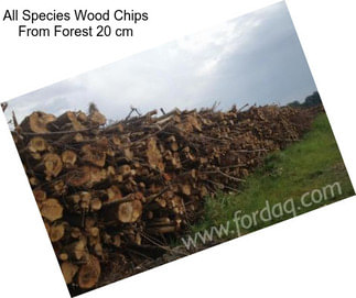 All Species Wood Chips From Forest 20 cm