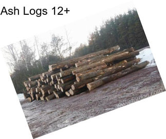 Ash Logs 12\