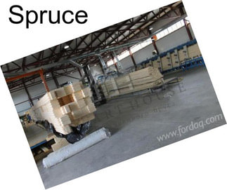 Spruce