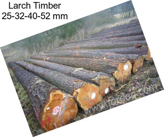 Larch Timber 25-32-40-52 mm