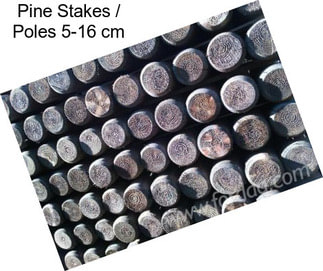 Pine Stakes / Poles 5-16 cm
