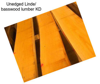 Unedged Linde/ basswood lumber KD