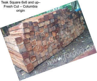 Teak Square 6x6 and up– Fresh Cut – Columbia origin