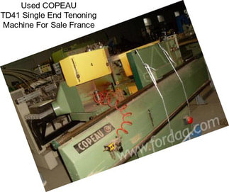 Used COPEAU TD41 Single End Tenoning Machine For Sale France
