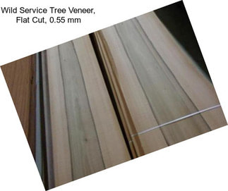 Wild Service Tree Veneer, Flat Cut, 0.55 mm