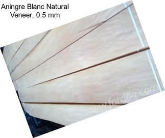 Aningre Blanc Natural Veneer, 0.5 mm