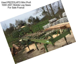 Used PEZZOLATO Mini Profi 1000 2001 Mobile Log Saws For Sale France