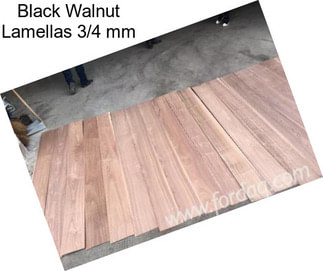 Black Walnut Lamellas 3/4 mm