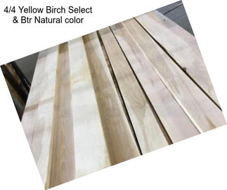 4/4 Yellow Birch Select & Btr Natural color