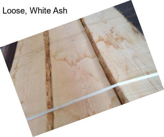 Loose, White Ash