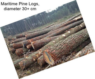Maritime Pine Logs, diameter 30+ cm