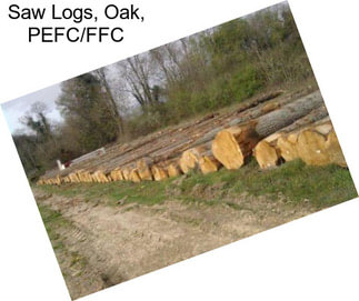 Saw Logs, Oak, PEFC/FFC