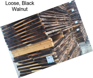 Loose, Black Walnut