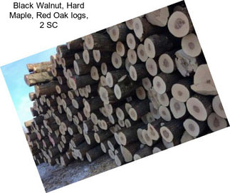 Black Walnut, Hard Maple, Red Oak logs, 2 SC