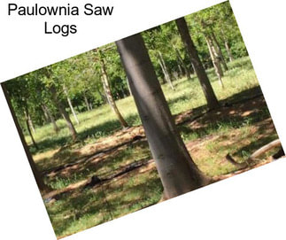 Paulownia Saw Logs