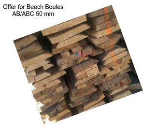Offer for Beech Boules AB/ABC 50 mm