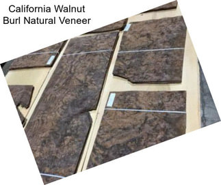 California Walnut Burl Natural Veneer