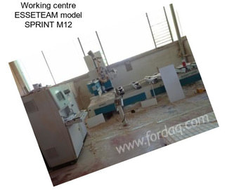 Working centre ESSETEAM model SPRINT M12
