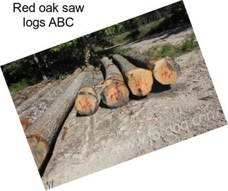 Red oak saw logs ABC