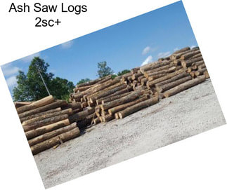 Ash Saw Logs 2sc+