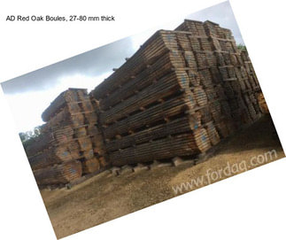 AD Red Oak Boules, 27-80 mm thick