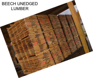 BEECH UNEDGED LUMBER