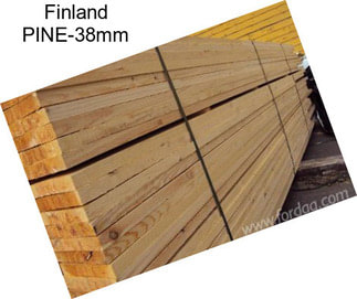 Finland PINE-38mm