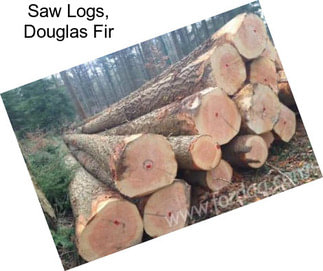 Saw Logs, Douglas Fir