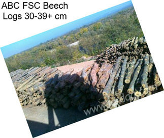 ABC FSC Beech Logs 30-39+ cm