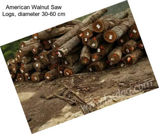 American Walnut Saw Logs, diameter 30-60 cm