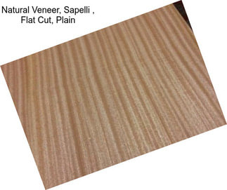 Natural Veneer, Sapelli , Flat Cut, Plain
