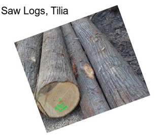 Saw Logs, Tilia