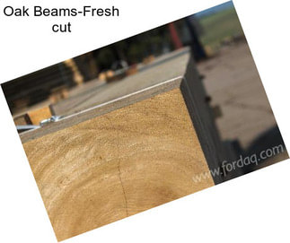 Oak Beams-Fresh cut