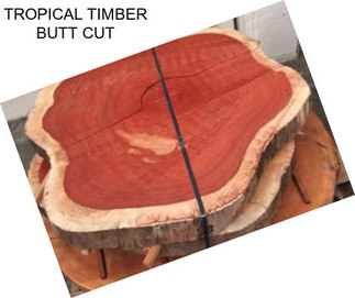 TROPICAL TIMBER BUTT CUT