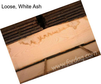 Loose, White Ash