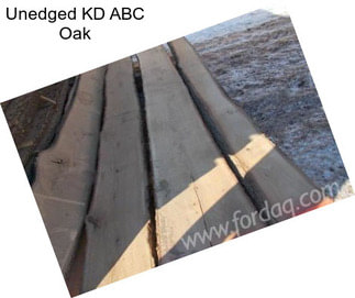 Unedged KD ABC Oak