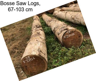 Bosse Saw Logs, 67-103 cm