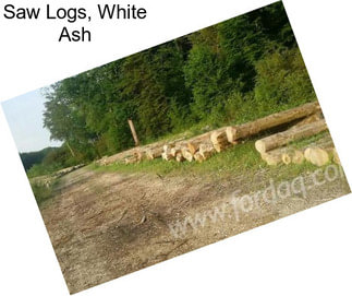 Saw Logs, White Ash